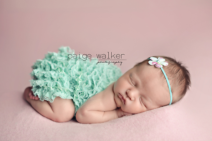 Dallas fort worth baby newborn photographers Dallas fort worth baby newborn photographers